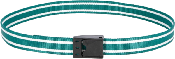 Halsmarkierungsband m. Klemm- verschluß, grün-weiß, 90cm